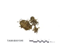 藏品(石生木靈苔)的圖片